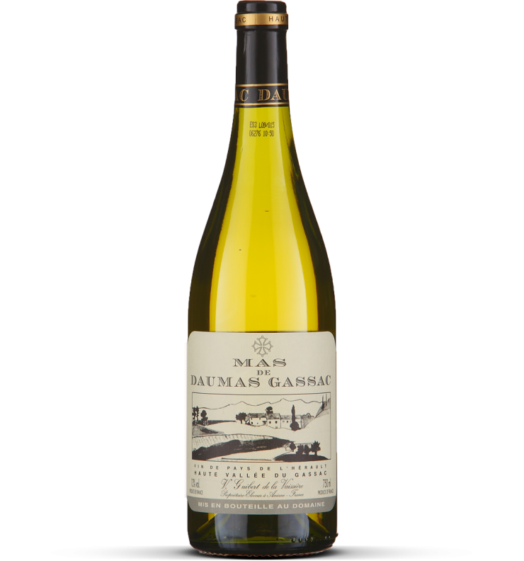 2025 Blanc - Saint Guilhem-le-Désert - Cité d'Aniane