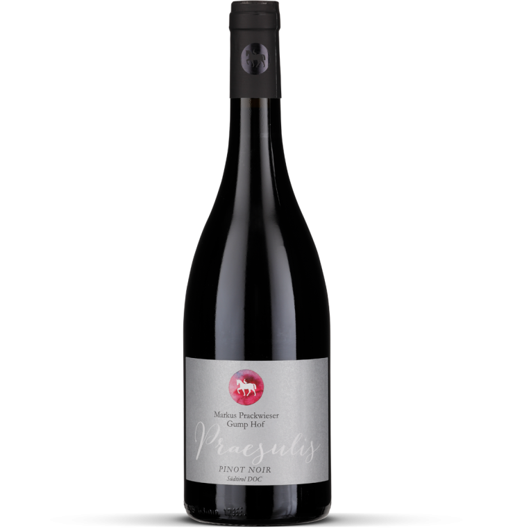 2023 Pinot Noir Praesulis - Südtirol