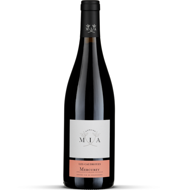 2023 Mercurey rouge 'Les Caudroyes'