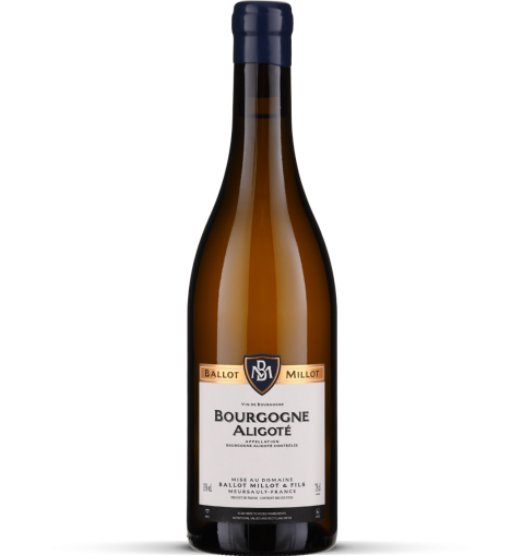 2024 Bourgogne Aligoté
