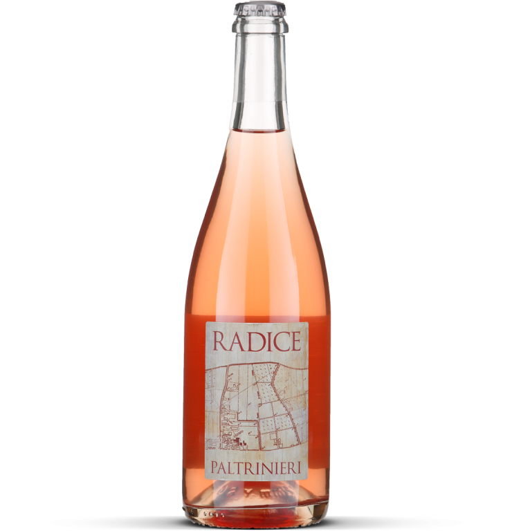 2025 Radice  - Lambrusco di Sorbara Frizzante