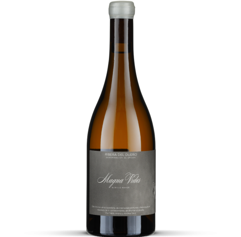 2023 Magna Vides blanco - Ribera del Duero