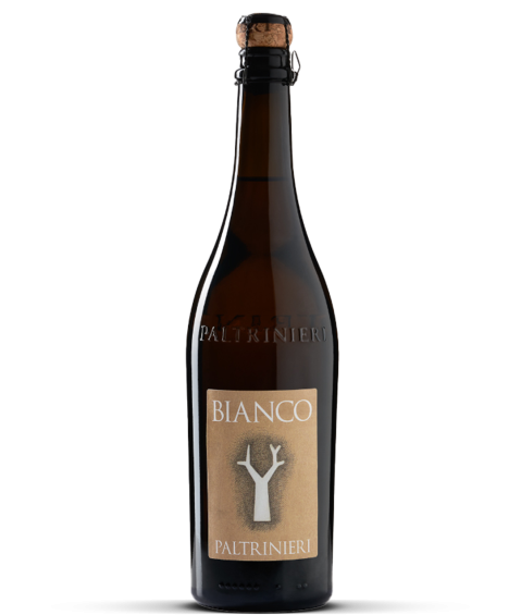 2024 Bianco - Lambrusco dell’Emilia frizzante