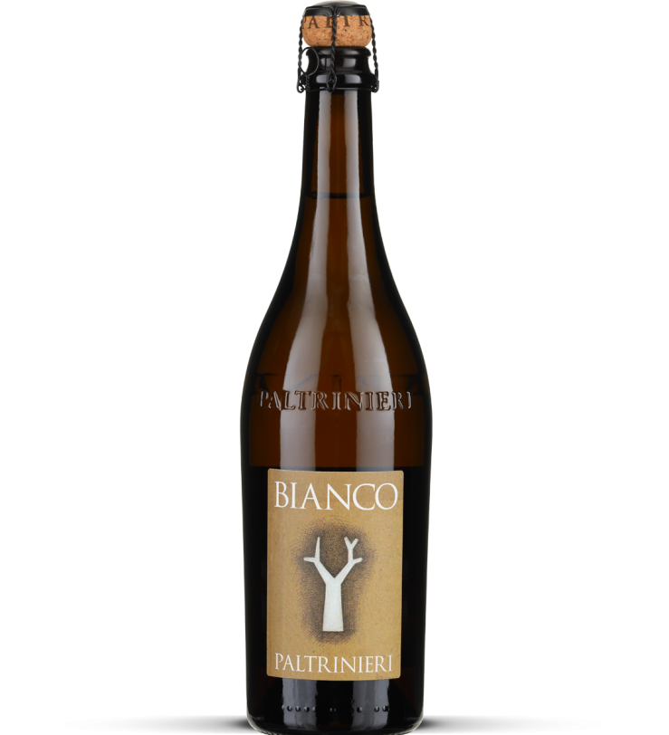 2024 Bianco - Lambrusco dell’Emilia frizzante