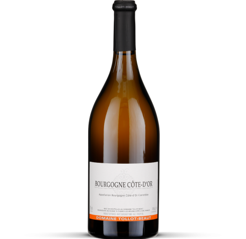 2024 Bourgogne Côte d'Or blanc