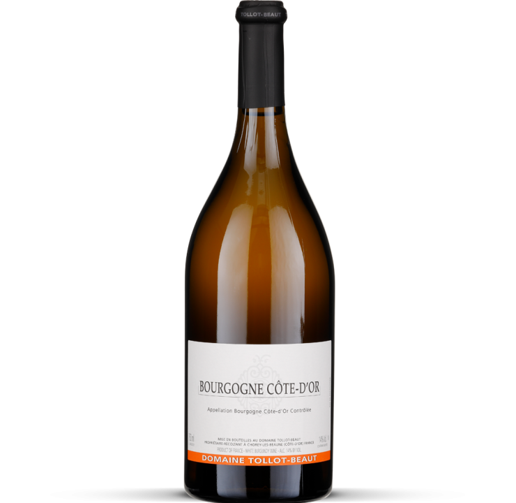 2024 Bourgogne Côte d'Or blanc
