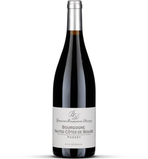 2024 Bourgogne Hautes Côtes de Beaune 'En Pussey'