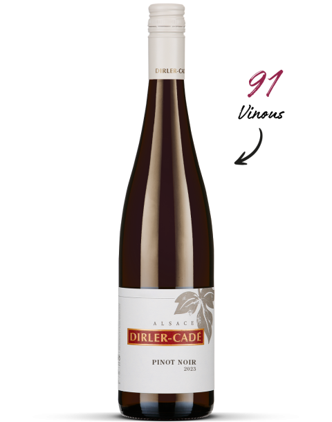 2023 Pinot Noir
