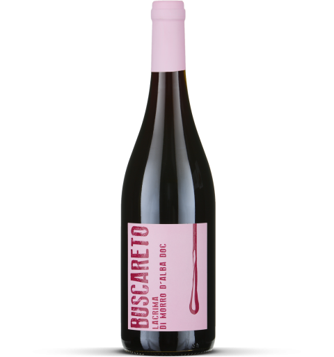 2024 Lacrima di Morro d'Alba