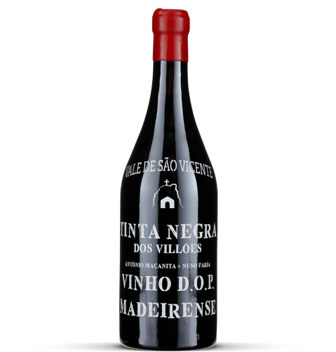 2022 Tinta Negra dos Villões - Vale de São Vicente