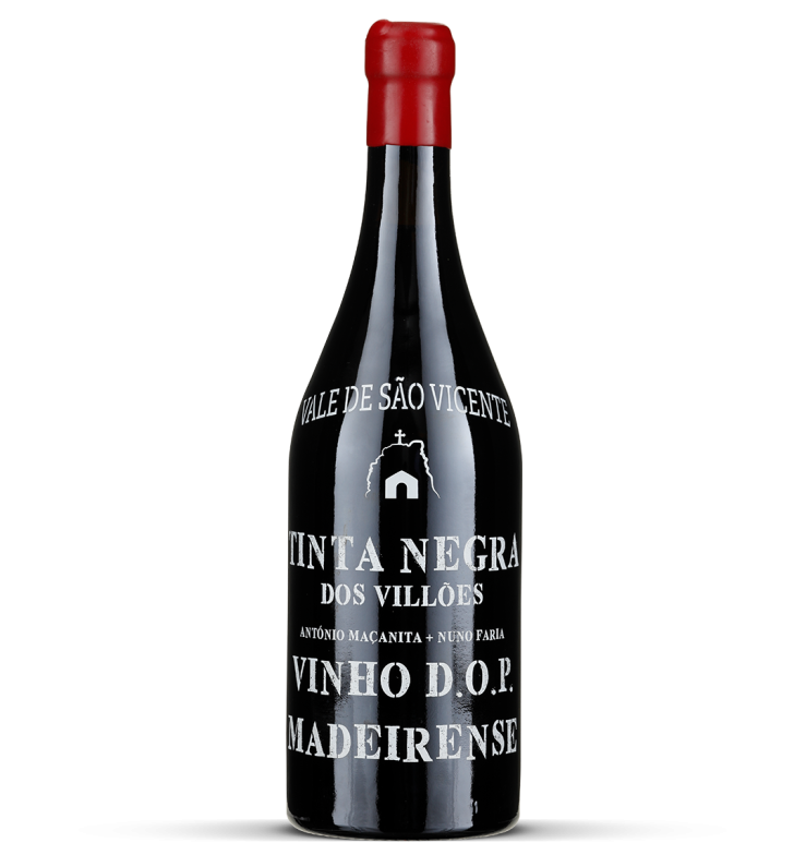 2022 Tinta Negra dos Villões - Vale de São Vicente