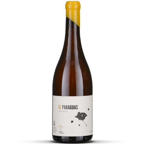 2024 Atlántico - Ribeiro