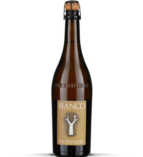 2025 Bianco - Lambrusco dell’Emilia frizzante