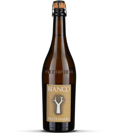 2025 Bianco - Lambrusco dell’Emilia frizzante