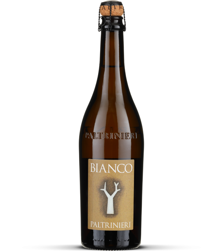 2025 Bianco - Lambrusco dell’Emilia frizzante