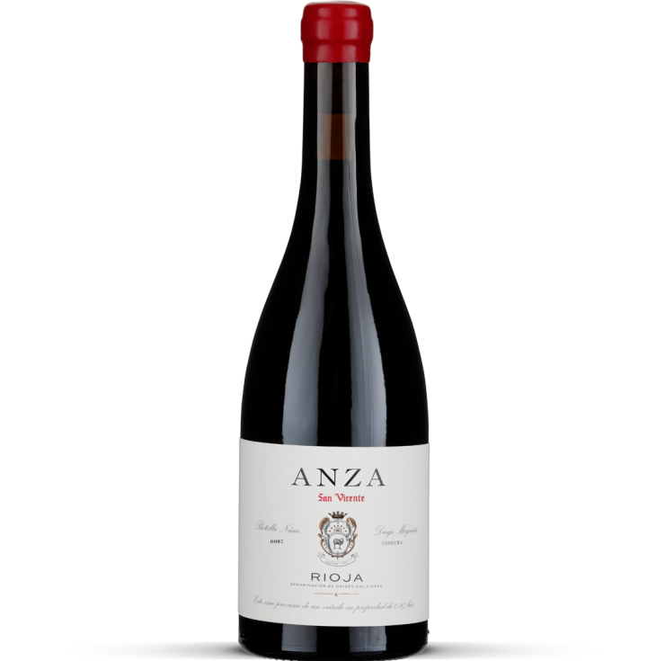 2025 San Vicente - Rioja tinto