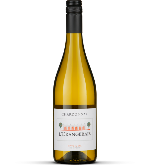 2025 Chardonnay - Pays d'Oc