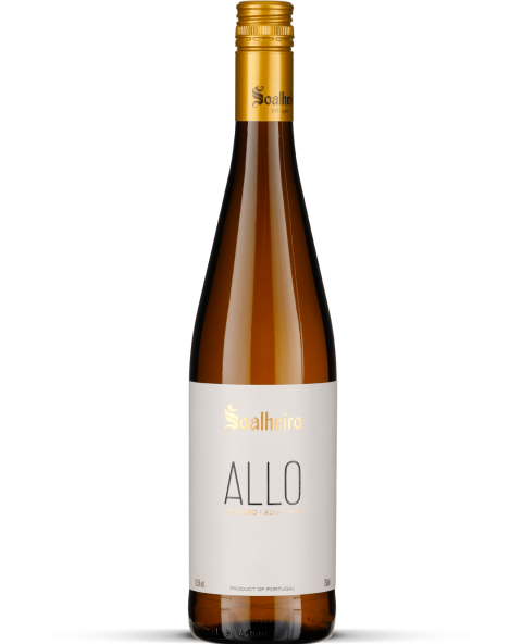 2025 ALLO - Minho