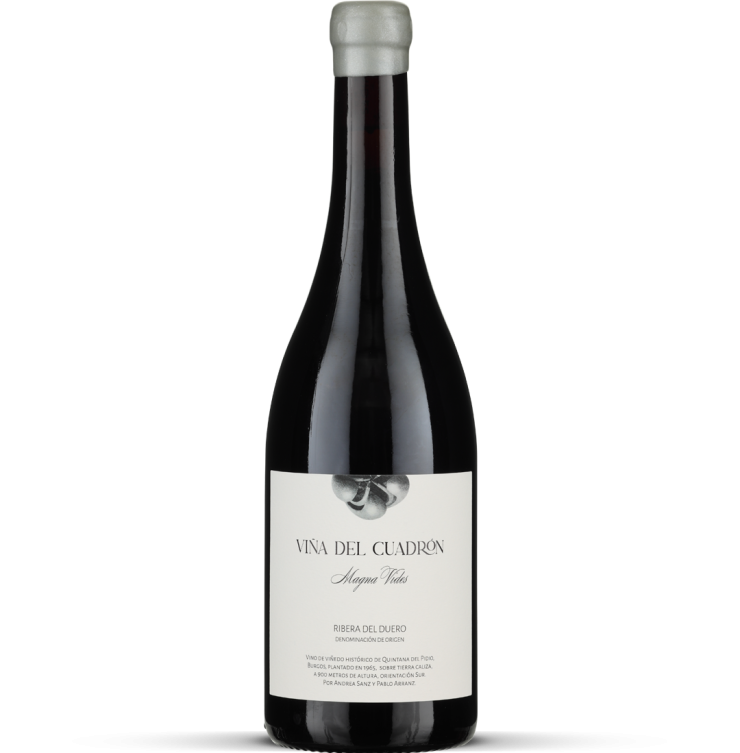 2023 Viña del Cuadrón - Ribera del Duero