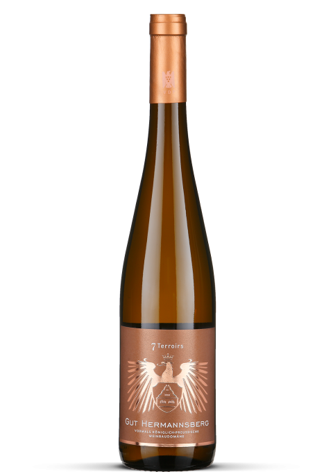 2025 7 Terroirs Riesling trocken - Nahe