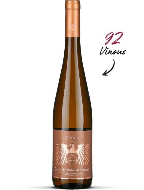 2025 7 Terroirs Riesling trocken - Nahe