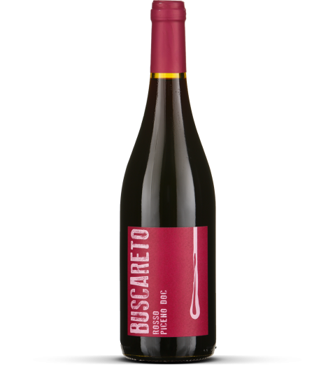 2024 Rosso Piceno