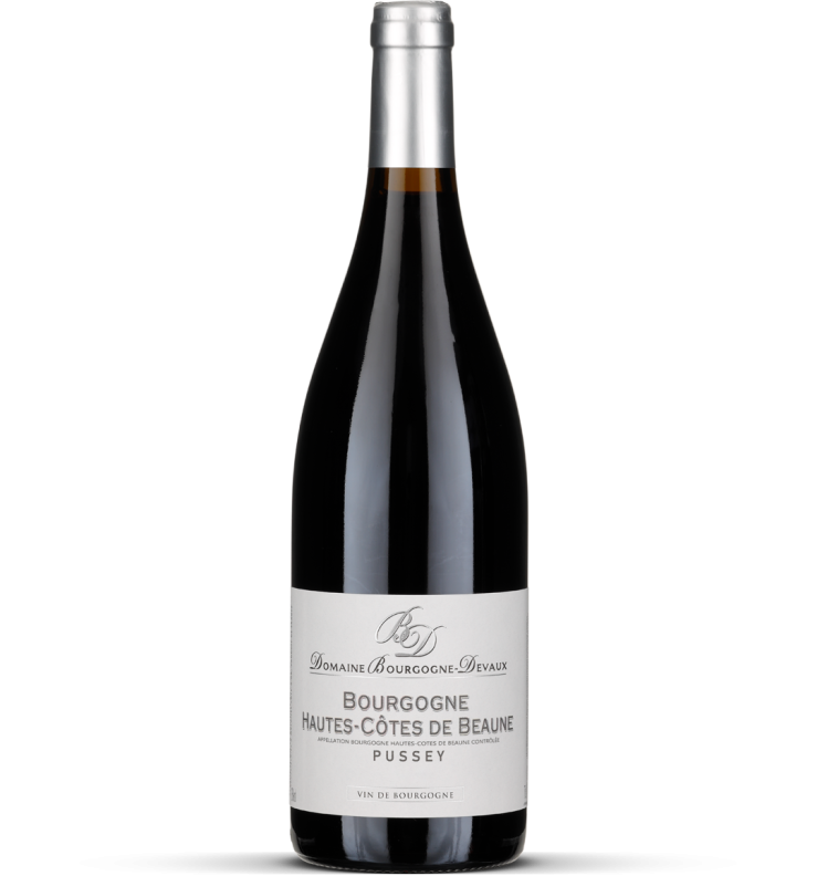 2023 Bourgogne Hautes Côtes de Beaune 'En Pussey'