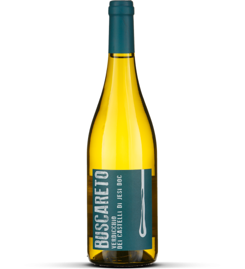 2025 Verdicchio dei Castelli di Jesi