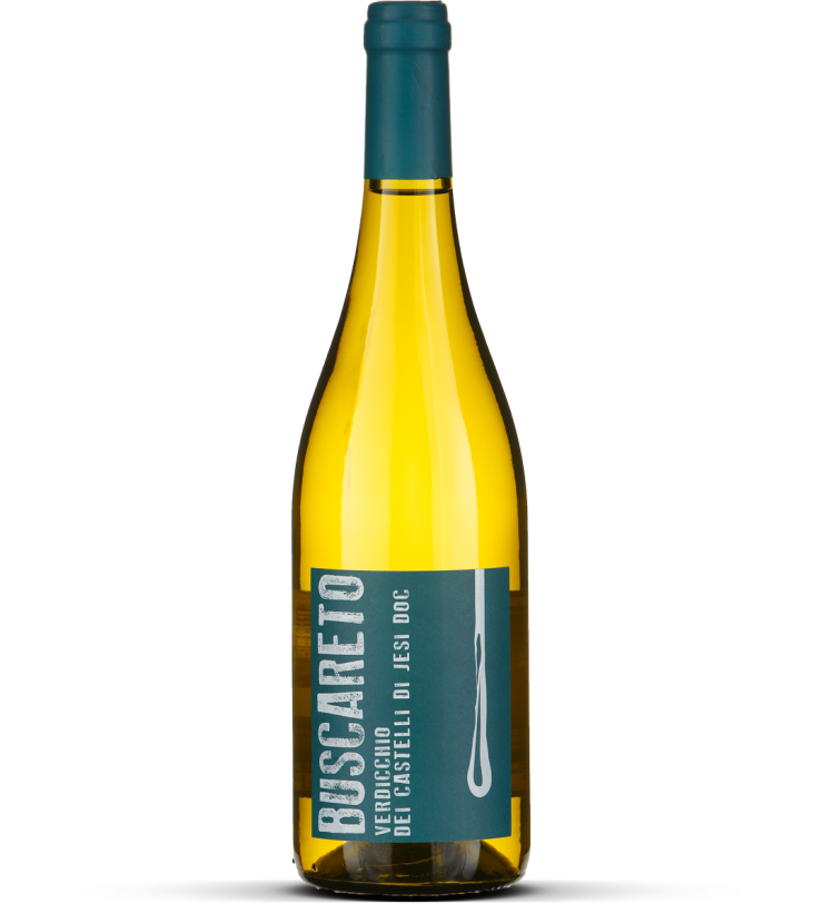 2025 Verdicchio dei Castelli di Jesi
