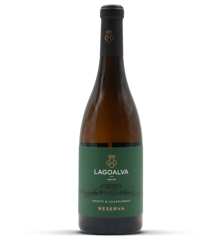 2024 Vale da Oliveira Reserva branco - Tejo