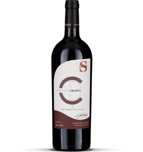 2019 Ribera del Duero - Cuvée 'S'