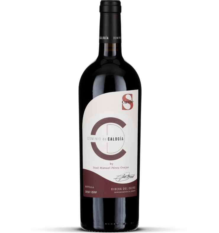2019 Ribera del Duero - Cuvée 'S'