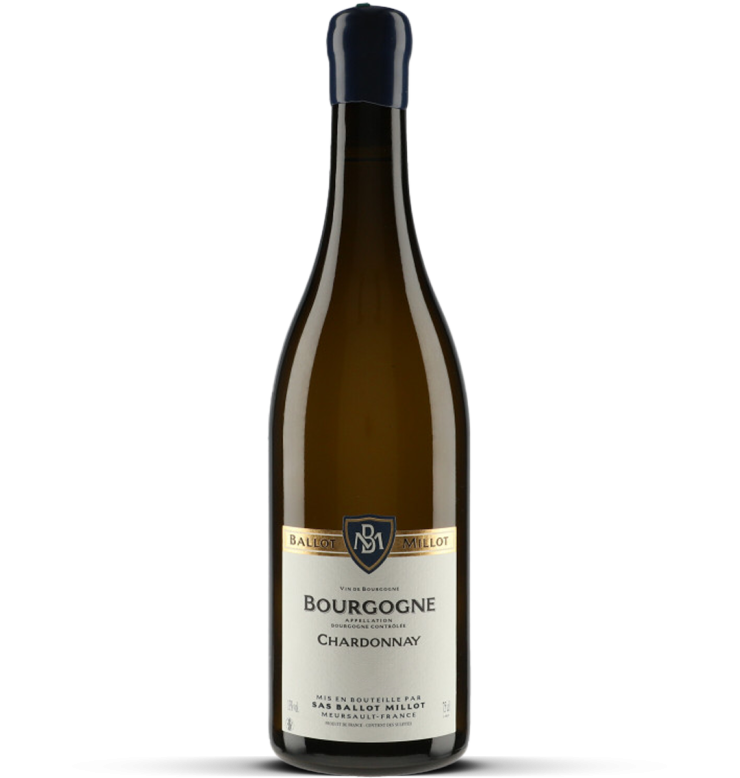 2024 Bourgogne Chardonnay
