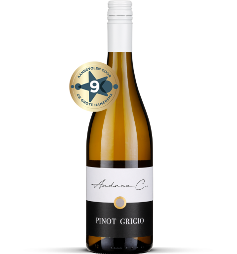 2025 Pinot Grigio - Friuli