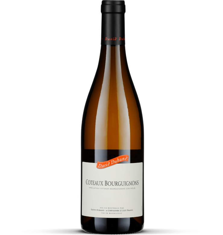 2024 Coteaux Bourguignons blanc