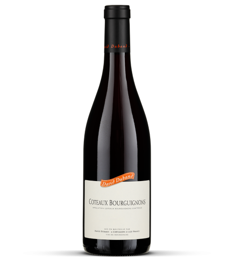 2023 Coteaux Bourguignons rouge