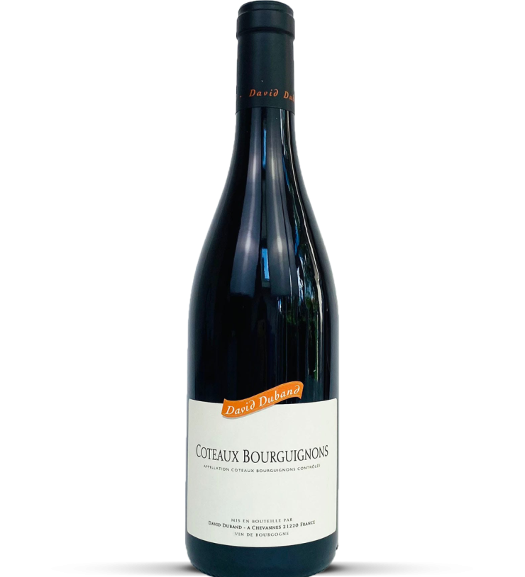 2023 Coteaux Bourguignons rouge