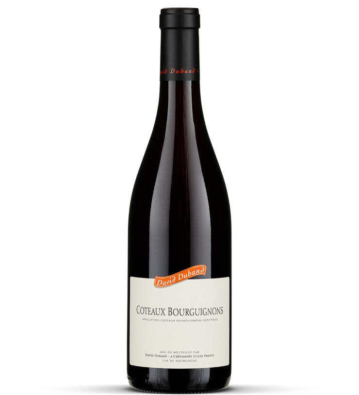 2023 Coteaux Bourguignons rouge