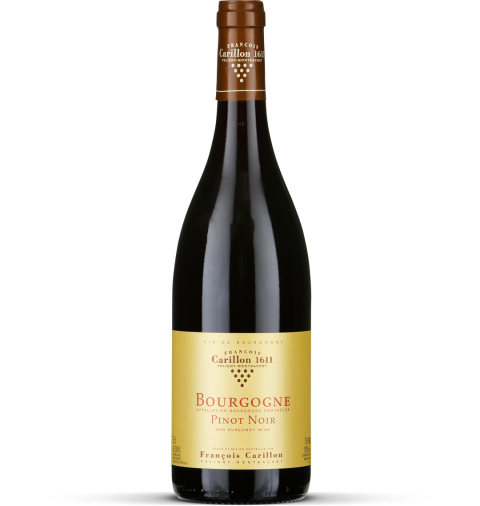 2024 Bourgogne Côte-d'Or Pinot Noir