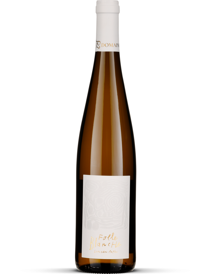 2023 Folle Blanche - Gros Plant du Pays Nantais