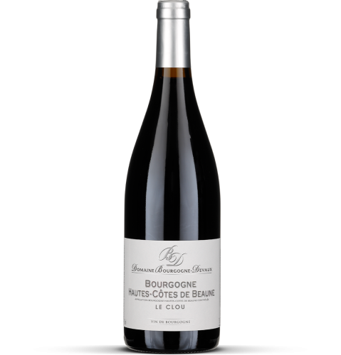 2024 Bourgogne Hautes Côtes de Beaune 'Le Clou'