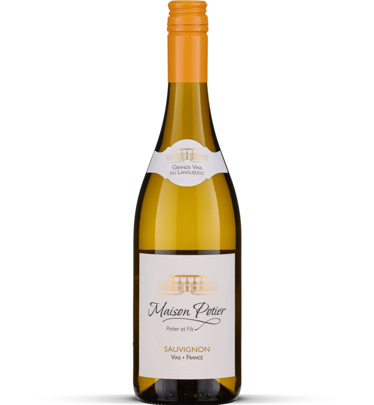 2025 Sauvignon - Pays d'Oc