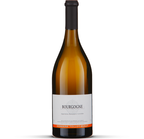 2021 Bourgogne Côte d'Or blanc