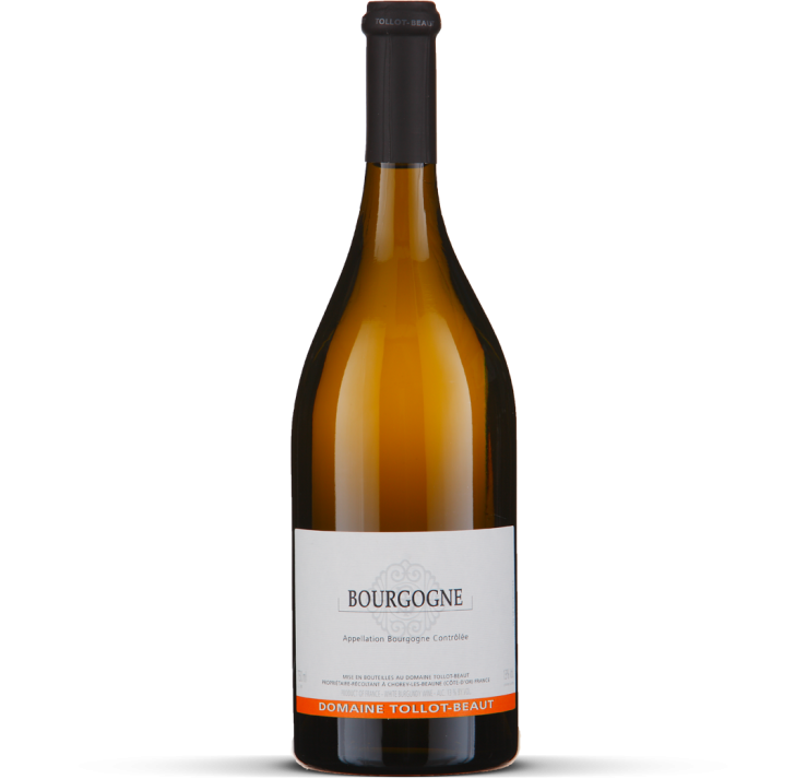2021 Bourgogne Côte d'Or blanc
