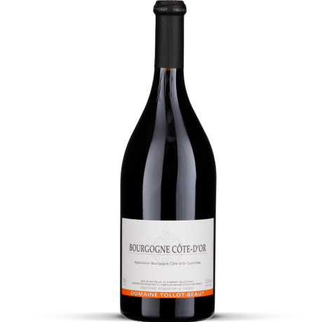 2024 Bourgogne Côte d'Or rouge