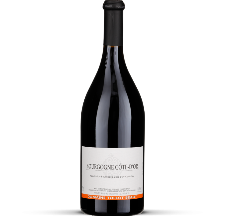 2024 Bourgogne Côte d'Or rouge