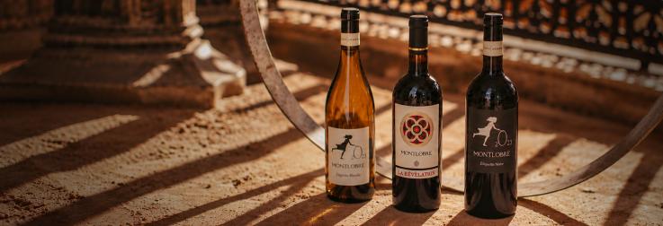 Montlobre ‘Black Label’: de iconische wijnen van Domaine Montlobre