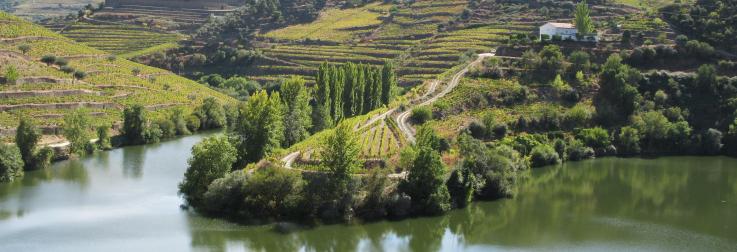 Aan de po(o)rt van de wijnhemel: Douro