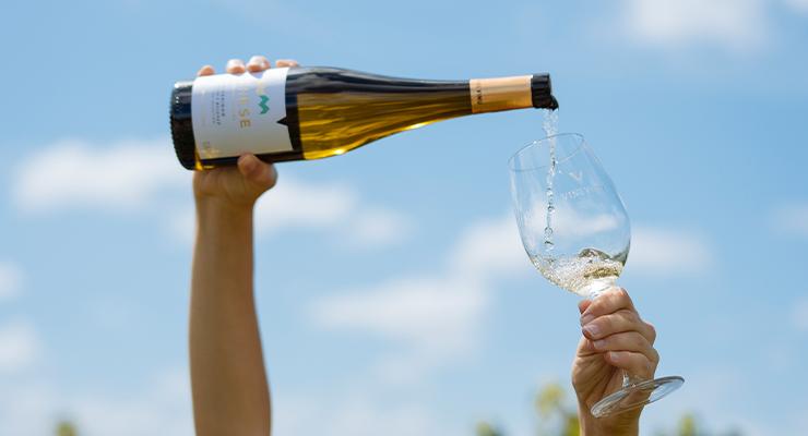 Onze Zomerkaravaan vertrekt vol zomerse wijnaanbiedingen