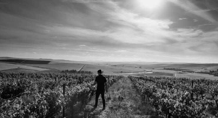 Nieuw domein in Swartland!